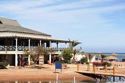 El Gouna Dive Centre - Red Sea